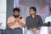 Nenu Meeku Baga Kavalsina Vadini Movie Trailer Launch